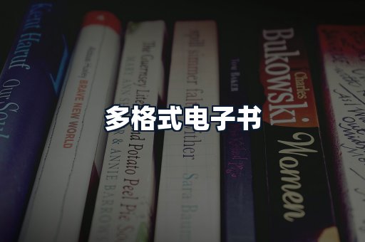多格式电子书